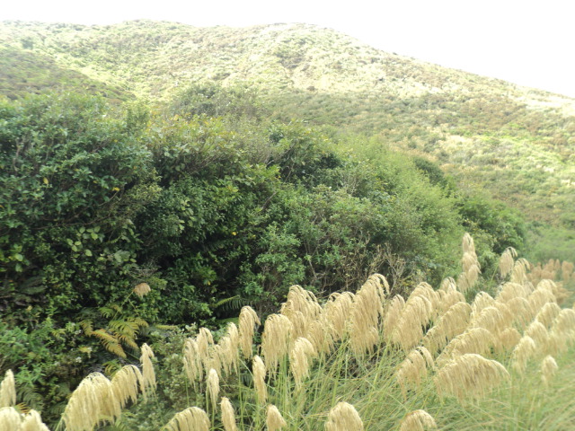 Name:  picture 01 2236.jpg
Views: 682
Size:  164.5 KB