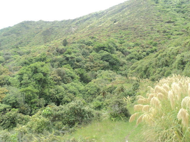 Name:  picture 01 2237.jpg
Views: 672
Size:  164.8 KB
