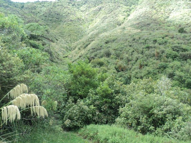 Name:  picture 01 2238.jpg
Views: 638
Size:  164.7 KB