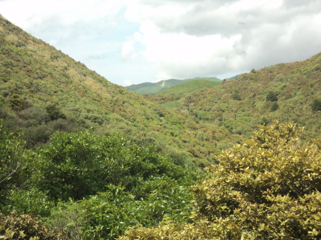 Name:  picture 01 2239.jpg
Views: 656
Size:  165.0 KB