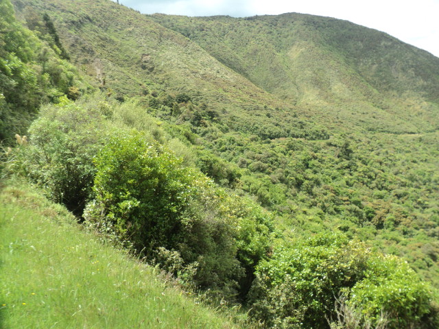 Name:  picture 01 2243.jpg
Views: 638
Size:  164.7 KB