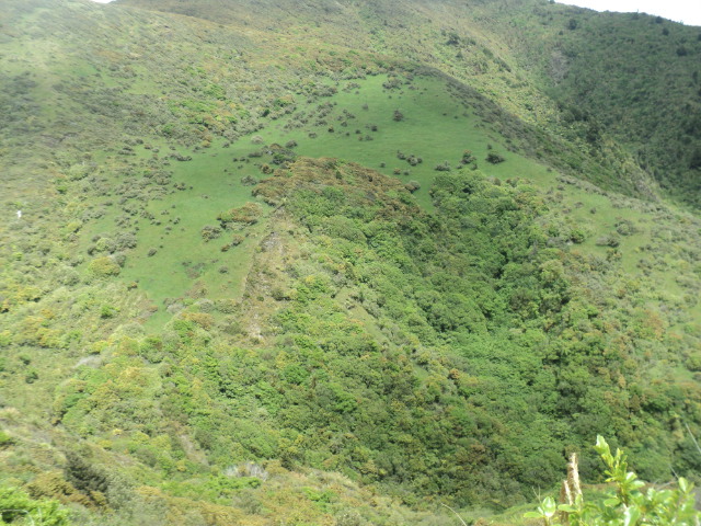Name:  picture 01 2245.jpg
Views: 674
Size:  164.1 KB