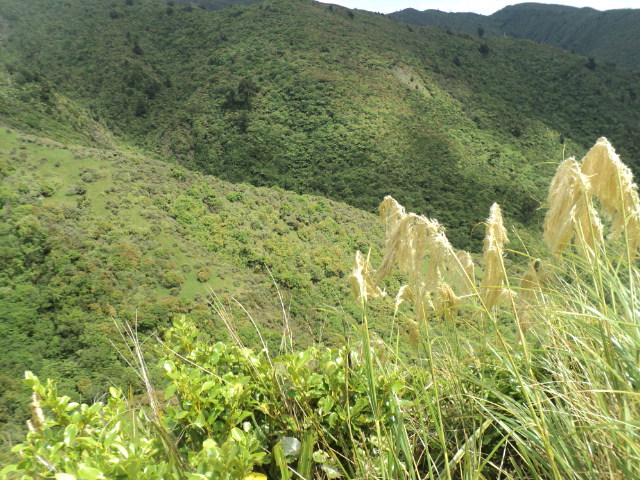 Name:  picture 01 2246.jpg
Views: 658
Size:  164.6 KB