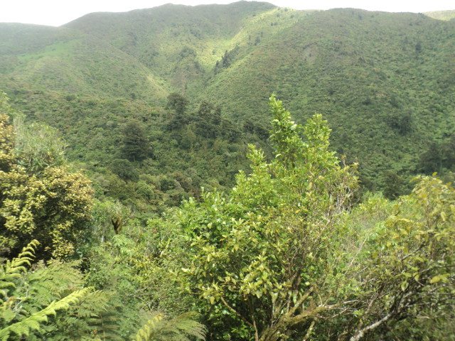 Name:  picture 01 2248.jpg
Views: 654
Size:  163.6 KB