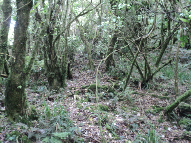Name:  picture 01 2249.jpg
Views: 690
Size:  163.5 KB