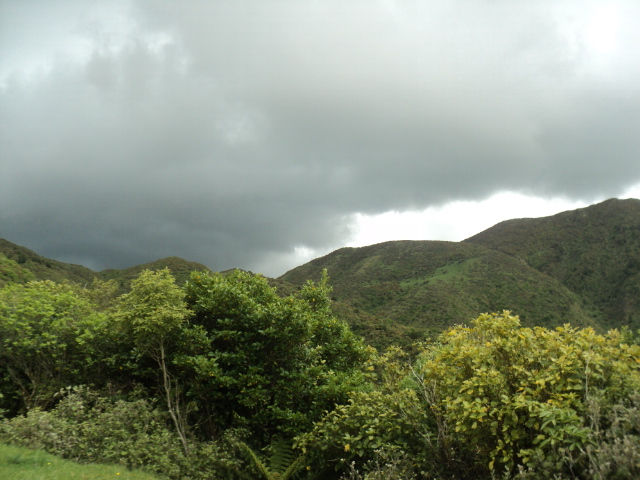 Name:  picture 01 2251.jpg
Views: 679
Size:  165.1 KB