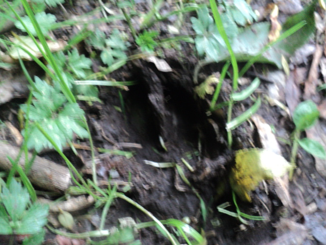 Name:  picture 01 2252.jpg
Views: 607
Size:  163.7 KB