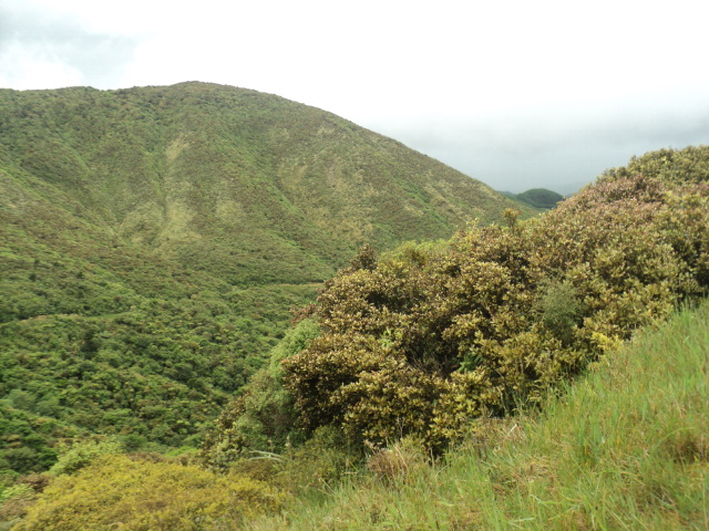 Name:  picture 01 2253.jpg
Views: 631
Size:  163.7 KB
