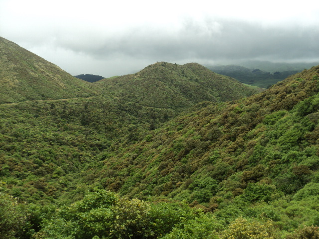 Name:  picture 01 2254.jpg
Views: 623
Size:  165.0 KB