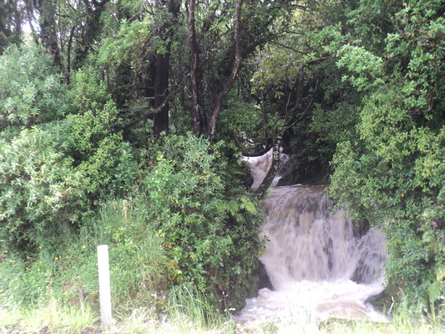 Name:  picture 01 2259.jpg
Views: 600
Size:  164.8 KB