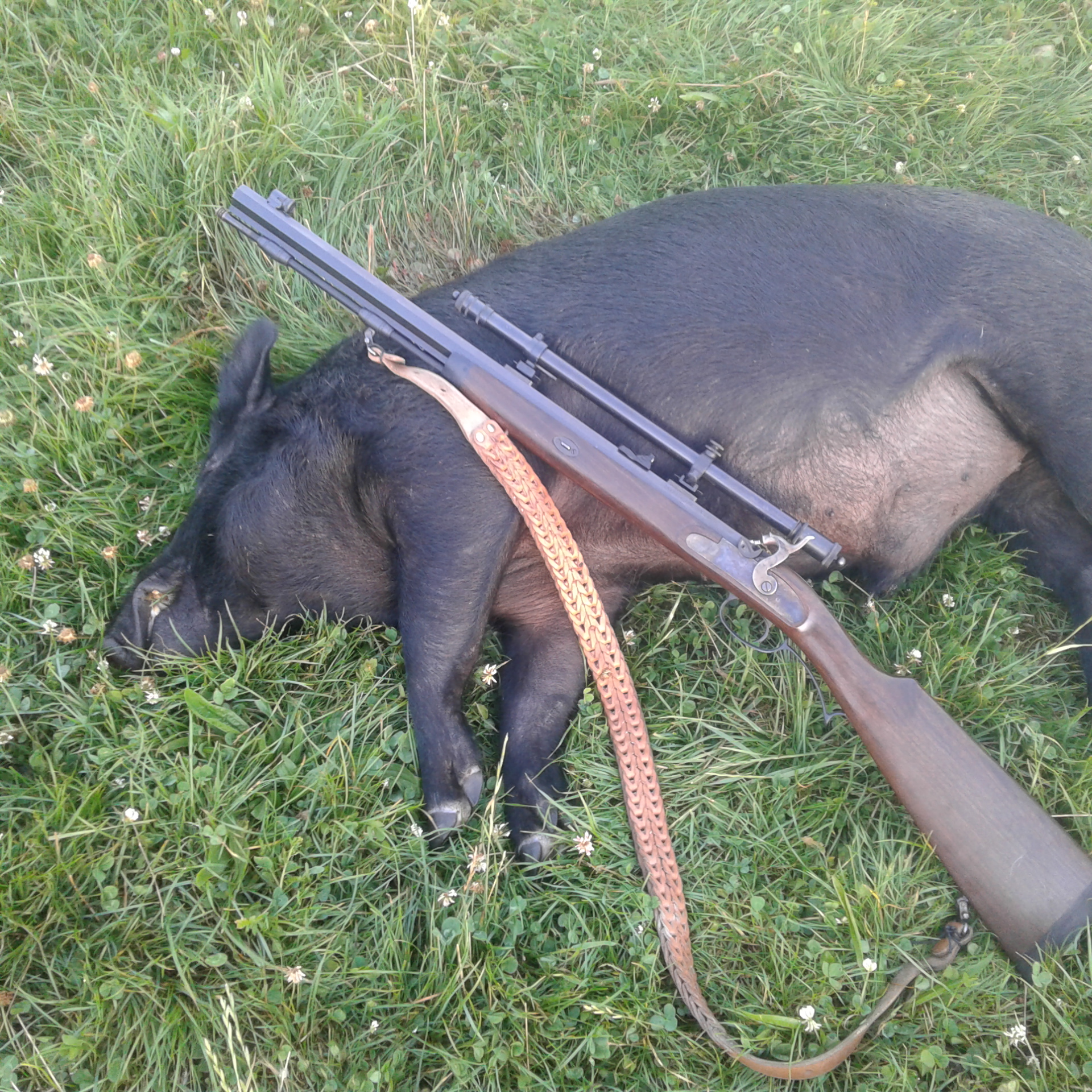 Name:  muzzleloader pig .jpg
Views: 763
Size:  2.03 MB