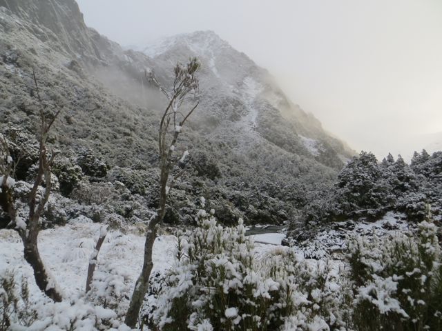 Name:  tahr02.jpg
Views: 231
Size:  73.5 KB