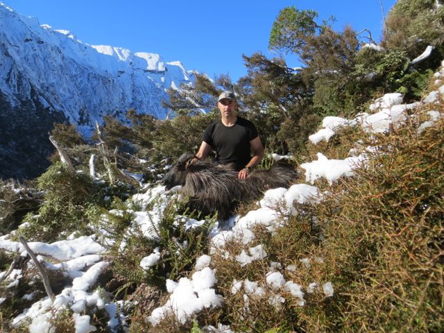 Name:  tahr09.jpg
Views: 240
Size:  98.4 KB