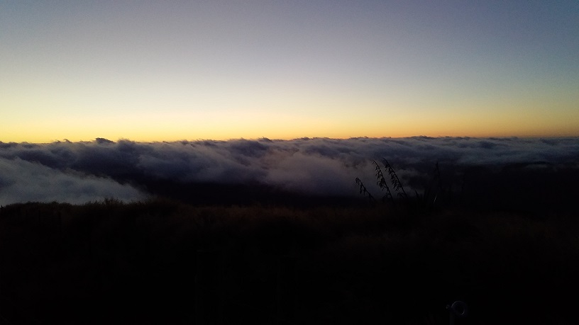 Name:  20190302_065426.jpg
Views: 632
Size:  58.6 KB