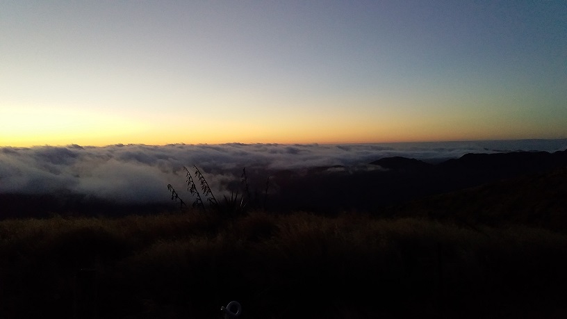Name:  20190302_065430.jpg
Views: 656
Size:  63.2 KB