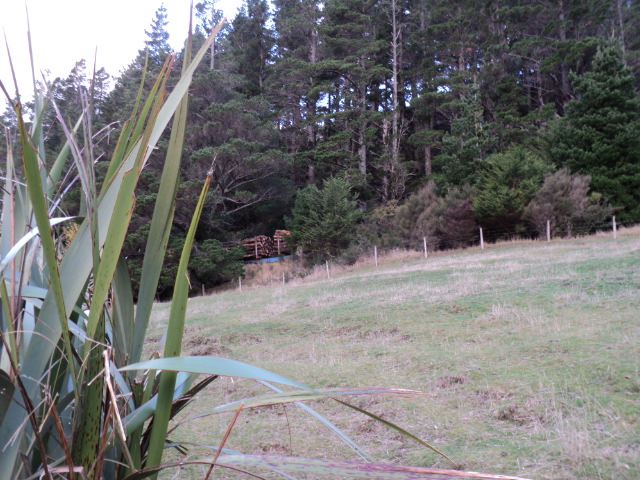 Name:  picture 1798.jpg
Views: 1067
Size:  163.0 KB