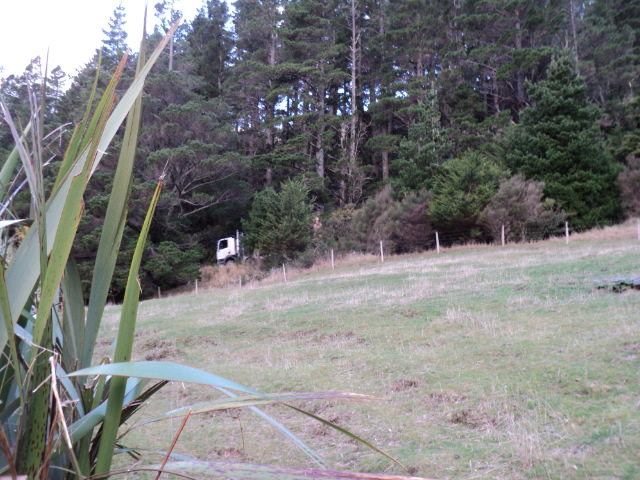 Name:  picture 1796.jpg
Views: 1034
Size:  164.8 KB