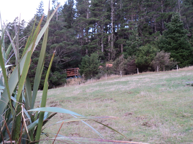 Name:  picture 1797.jpg
Views: 1079
Size:  163.0 KB