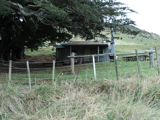 Name:  picture 1852.jpg
Views: 1072
Size:  163.3 KB