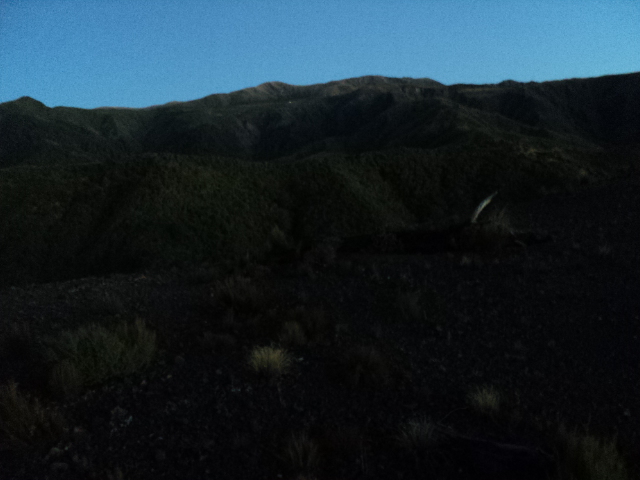 Name:  picture 1814.jpg
Views: 1025
Size:  164.0 KB