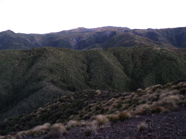 Name:  picture 1816.jpg
Views: 1144
Size:  163.8 KB