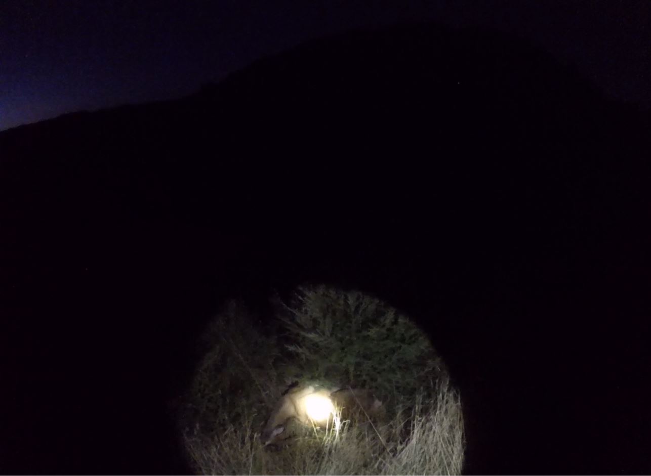 Name:  Photo 6.JPG
Views: 519
Size:  51.8 KB
