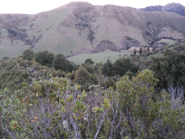 Name:  picture 1842.jpg
Views: 1050
Size:  164.8 KB
