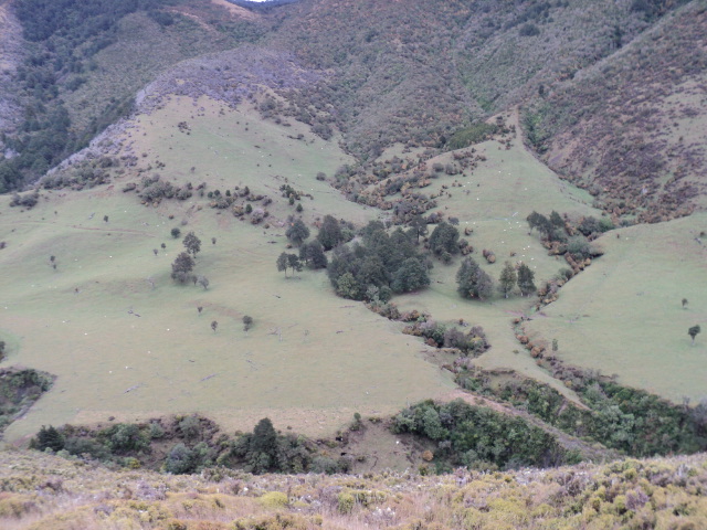 Name:  picture 1849.jpg
Views: 1121
Size:  165.3 KB