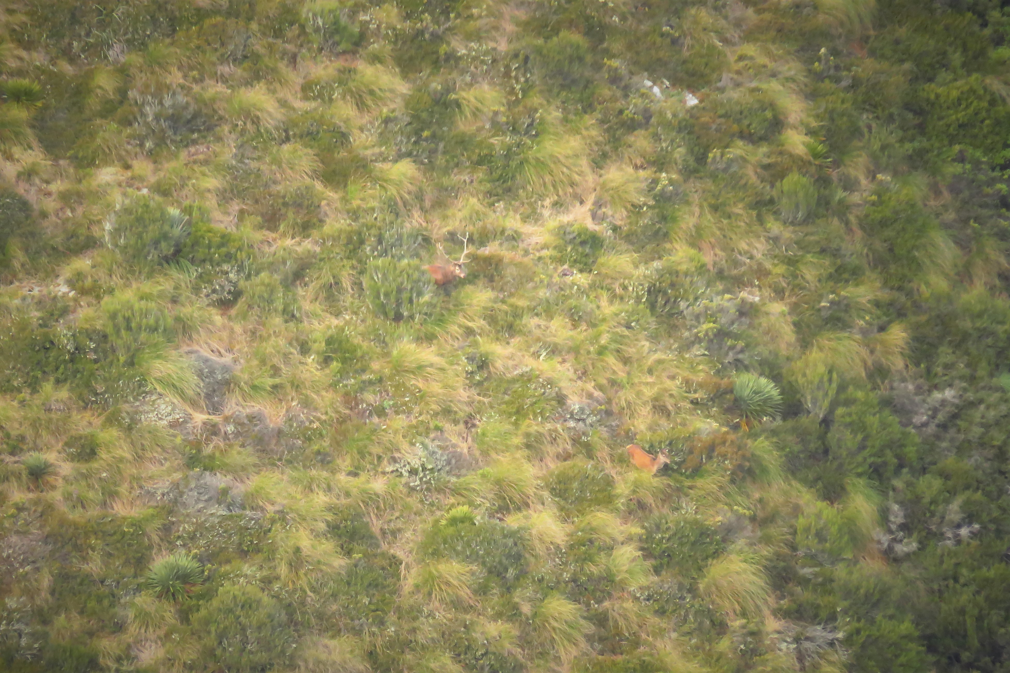 Name:  IMG_0026.JPG
Views: 781
Size:  2.17 MB