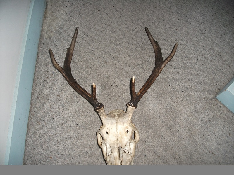 Name:  003.JPG
Views: 331
Size:  276.1 KB