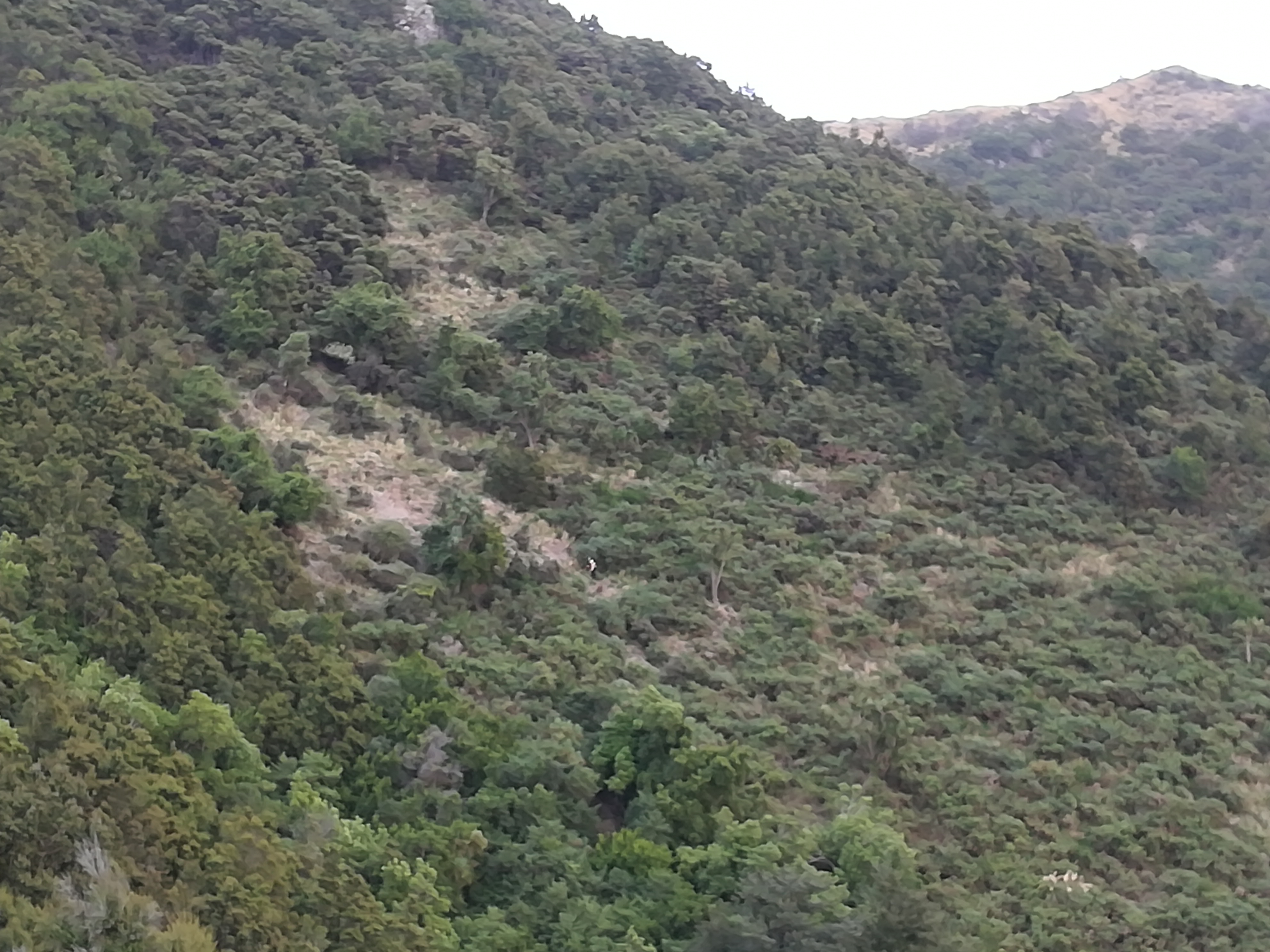 Name:  IMG_20190402_085049.jpg
Views: 600
Size:  2.27 MB