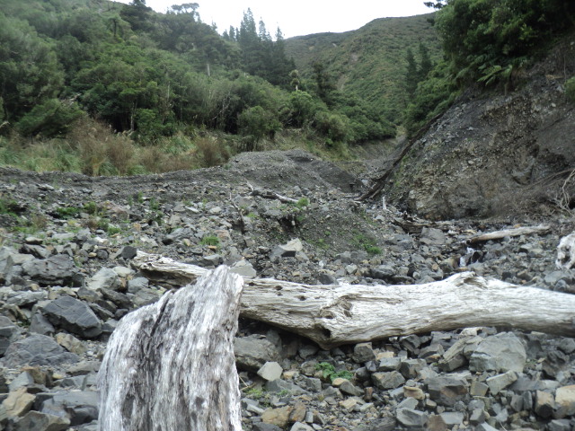 Name:  picture 01 3115.jpg
Views: 213
Size:  164.3 KB