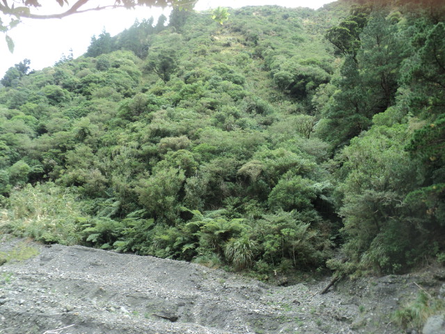 Name:  picture 01 3116.jpg
Views: 213
Size:  165.1 KB