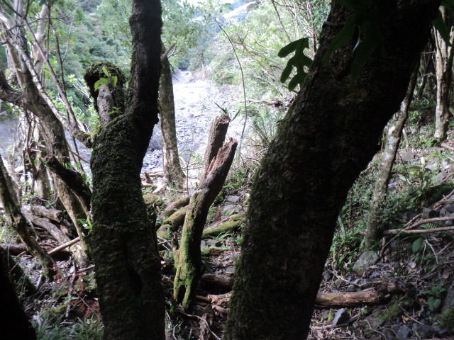 Name:  picture 01 3117.jpg
Views: 179
Size:  165.0 KB