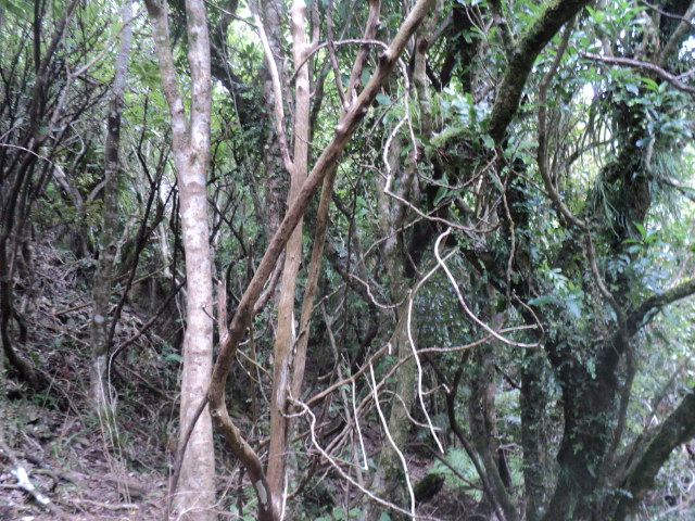 Name:  picture 01 3119.jpg
Views: 208
Size:  163.6 KB