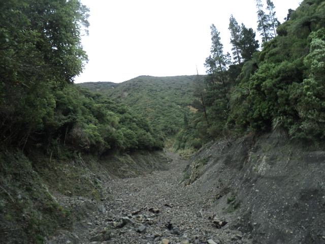 Name:  picture 01 3120.jpg
Views: 193
Size:  164.9 KB