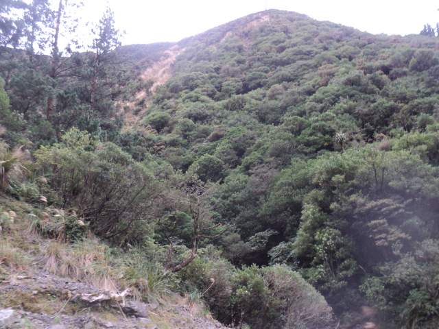 Name:  picture 01 3121.jpg
Views: 206
Size:  163.3 KB