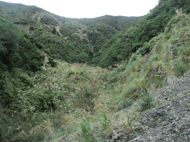 Name:  picture 01 3122.jpg
Views: 192
Size:  164.8 KB