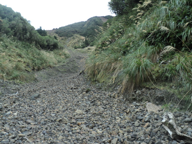Name:  picture 01 3123.jpg
Views: 220
Size:  165.0 KB