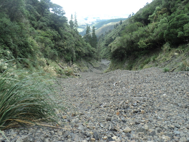 Name:  picture 01 3124.jpg
Views: 220
Size:  163.4 KB
