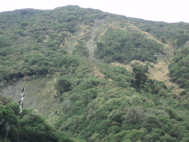 Name:  picture 01 3125.jpg
Views: 197
Size:  165.2 KB