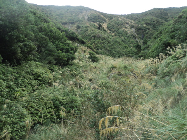 Name:  picture 01 3126.jpg
Views: 204
Size:  164.5 KB