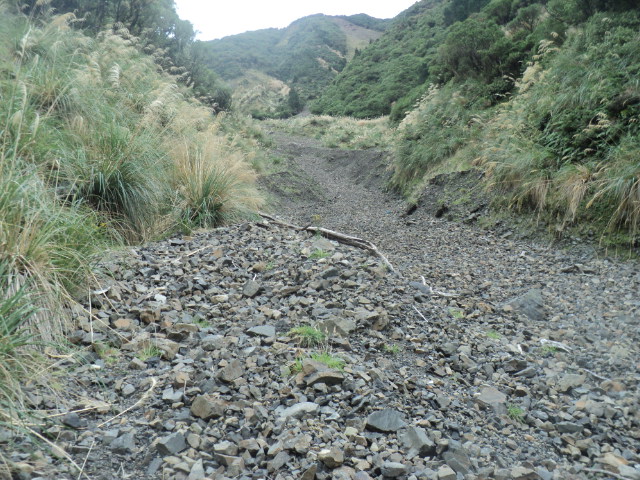Name:  picture 01 3127.jpg
Views: 206
Size:  164.8 KB