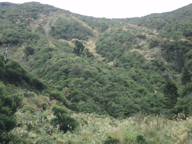 Name:  picture 01 3128.jpg
Views: 189
Size:  164.3 KB