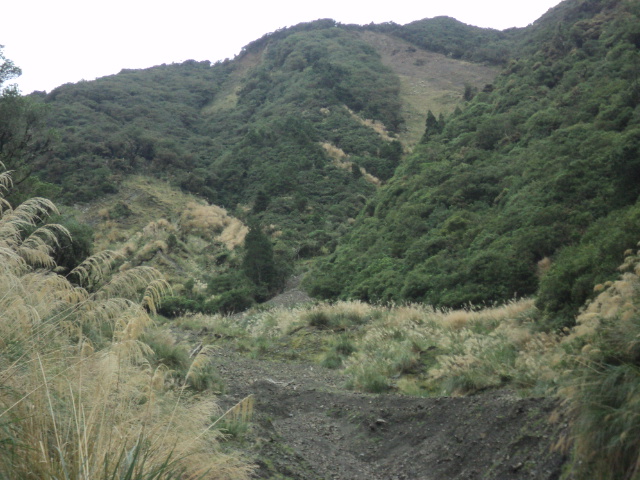 Name:  picture 01 3129.jpg
Views: 188
Size:  165.0 KB