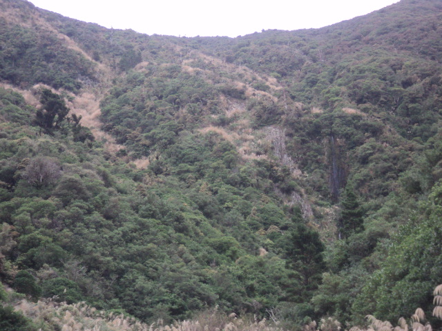 Name:  picture 01 3130.jpg
Views: 198
Size:  165.2 KB