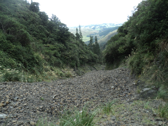 Name:  picture 01 3131.jpg
Views: 189
Size:  163.9 KB