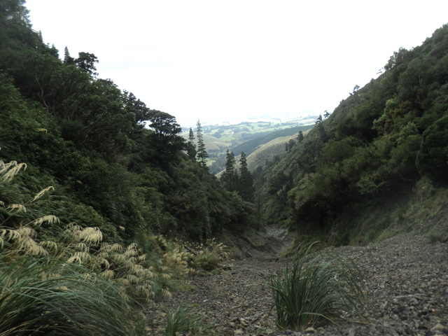 Name:  picture 01 3132.jpg
Views: 194
Size:  165.2 KB