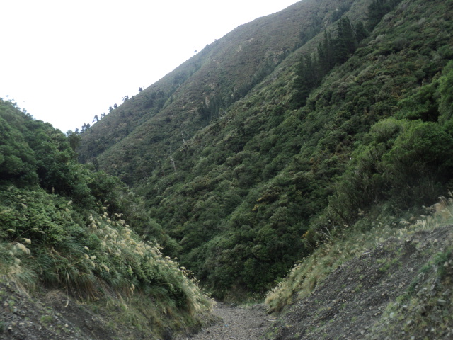 Name:  picture 01 3133.jpg
Views: 193
Size:  163.5 KB