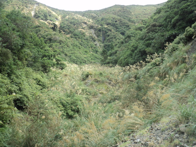 Name:  picture 01 3136.jpg
Views: 187
Size:  163.2 KB